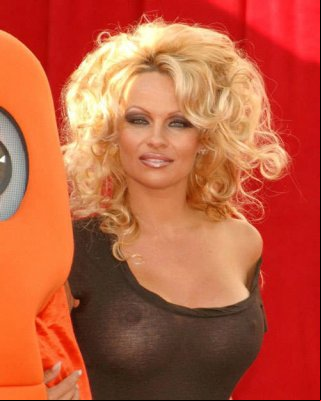 A girdle for sex