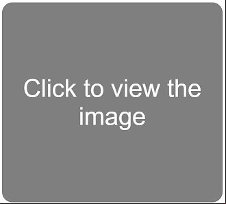 Gay dating shows